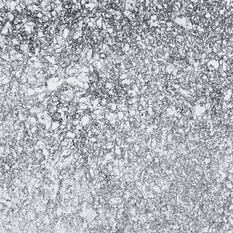 Rose Bay™ Signature series