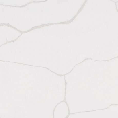 MSI Calacatta Classique Quartz Countertop